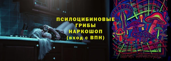 а пвп мука Няндома