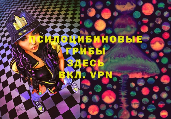 ПСИЛОЦИБИНОВЫЕ ГРИБЫ Нягань