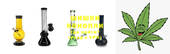 ПСИЛОЦИБИНОВЫЕ ГРИБЫ Нягань