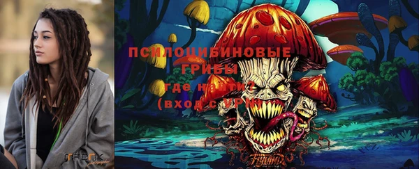 а пвп мука Няндома