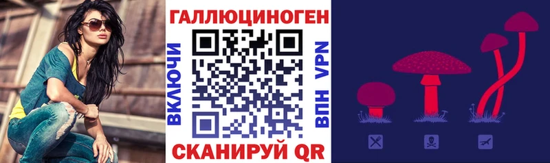 Галлюциногенные грибы MAGIC MUSHROOMS  Купить  Малгобек 